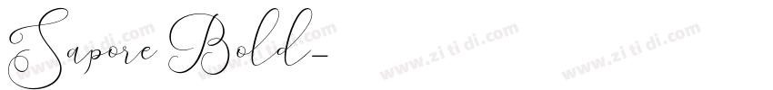 Sapore Bold字体转换